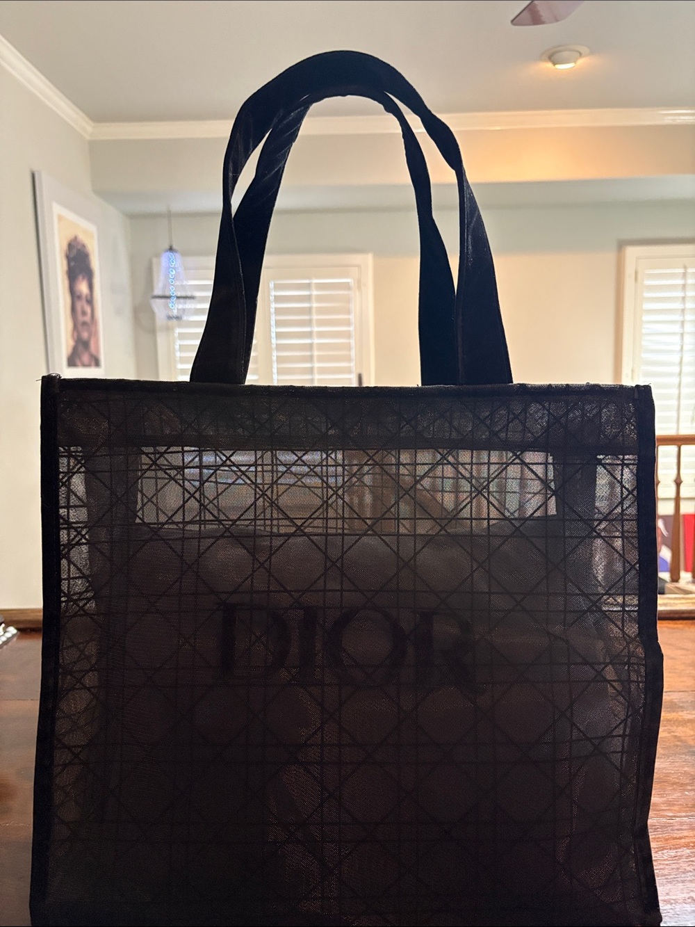 DIOR Beauty Velvet Mesh Large Tote Bag
